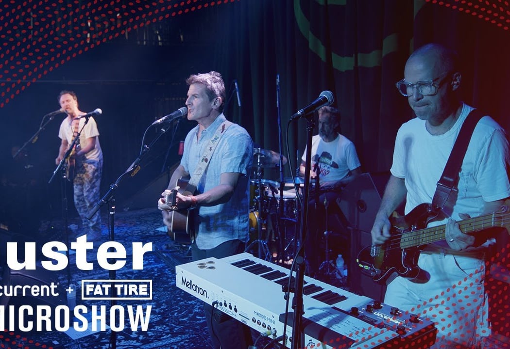 Picnic with the Pops: Guster 5
